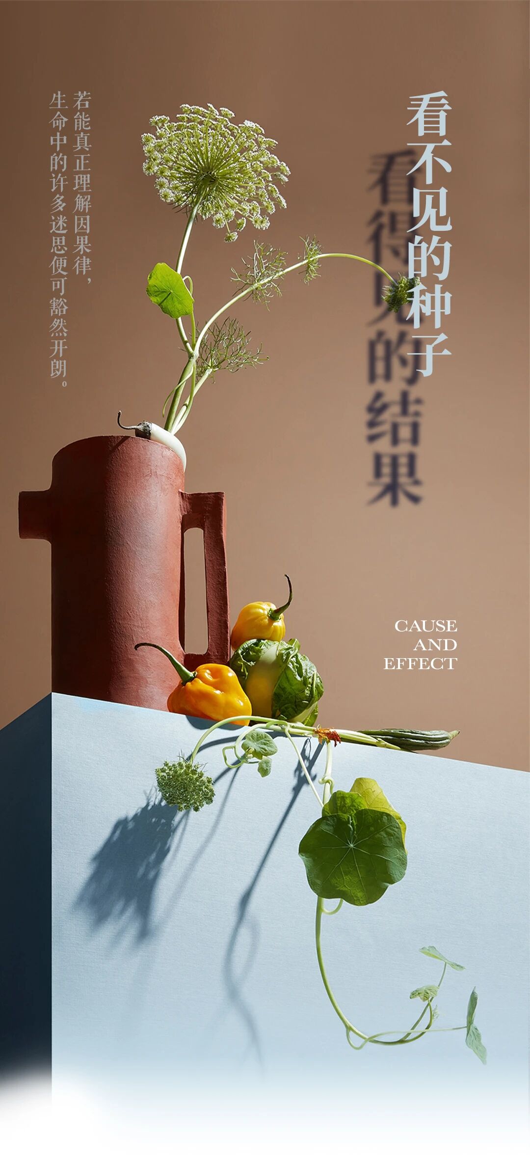 看不见的种子，看得见的结果